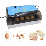 12 oeufs mini num�rique incubateur oeuf enti�rement automatique incubateurs couveuse oeufs de poule avec ...