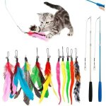 12 pcs jouet chat plume, jouet b�ton chat canne � p�che avec 2 pcs interactif r�tractable canne, 10 pcs ...