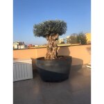 Vivaio garden forest - 122cm � gris anthracite resin jumbo pot, grand bac � plantes - couleur : anthracite ...