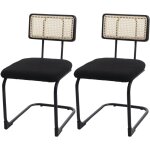 Hhg - jamais utilis�] lot de 2 chaises � pi�tement luge 712, chaise � dossier, bois rotin m�tal boucl�, ...