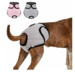 2 pi�ces 37 - 55cm couche r�utilisable pour chien, culotte physiologique, culotte hygi�nique, lavable, ...