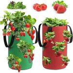 2 pices sac de plantation fraises, sac culture fraises, sac de culture de fraises en non tiss, sac ...