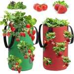 2 pi�ces sac de plantation fraises, sac culture fraises, sac de culture de fraises en non tiss�, sac ...