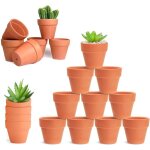20 pot terre cuite, pot de fleur terre cuite, mini pot de fleur en c�ramique avec trou de vidange, pot ...