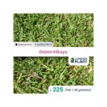 Leaderplant. com - 225 x gazon kikuyu en gidet