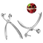 Aougo - 2pcs denoyauteur a cerise olives pitter noyaux extracteur raisins cranberries extracteur de cuisine ... Aougo - 2pcs denoyauteur a cerise olives pitter noyaux extracteur raisins cranberries extracteur de cuisine ...