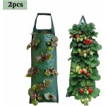 2pcs sacs de culture de fraises 7025cm sac de fraises multi - bouche sac de plantation suspendu sac de ...