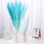 Mowze - 30 pcs fleurs sches herbe de pampa naturelle sche plante de roseau avec bote vraies fleurs ...