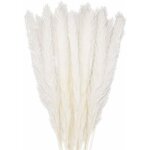 30 pcs herbe de la pampa, 58 cm naturel pampa fleur bouquet de fleurs sechees pour vases, blanc boho ...