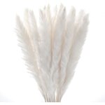 30 pcs pampa herbe naturelle roseau plume fleurs s�ch�es phragmites bouquet grand real touch plumes naturelles ...