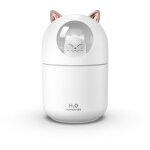 300ml usb home car mini humidificateur diffuseur d'armes