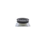 Stiga - 387605030 / 0 - kit poulies double pour tondeuse autoportée Stiga - 387605030 / 0 - kit poulies double pour tondeuse autoportée