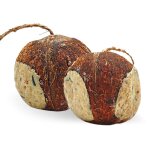 4 pcs. lyra pet noix de coco farcie avec trous