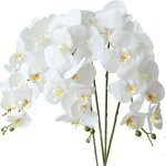 4 pcs orchidée phalaenopsis artifici fleurs blanches 70cm avec feuilles d'orchidée artificis 4 pcs orchidée phalaenopsis artifici fleurs blanches 70cm avec feuilles d'orchidée artificis