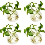 4 pi�ces jardini�res en verre � suspendre 10cm de diam�tre en verre rond pot - eau planter des vases ...