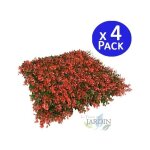 Lot de 4 mur v�g�tal artificiel brise - vue verdissement balcon cl�ture de jardin, avec treillis, feuilles ...