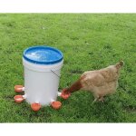 5 pcs, abreuvoir poules, abreuvoir automatique poule kit, abreuvoirs automatiques de poulet, convient ...