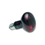 50 w zoo med lampe spot infrarouge - lampe chauffante infra - rouge nocturne zoo med