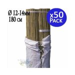 Suinga - pack de 50 tuteurs en bambou 180 cm (12 - 14 mm) tiges de bambou pour plantes et arbres tuteurs ... Suinga - pack de 50 tuteurs en bambou 180 cm (12 - 14 mm) tiges de bambou pour plantes et arbres tuteurs ...