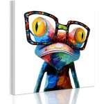 5050cm multicolore animal grande taille impression toile cadre en bois art mural (50x5cm grenouille, ...
