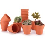 6. 5cm 12pcs pot de succulent en terre pour cactus fleurs plantes, terracotta pot argile pour cactus ...