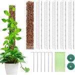 6 pi�ces tuteur plante grimpante, tuteur monstera mousse sphaigne coco, 61 cm support en plastique pour ...