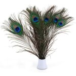 Aafgvc - promotion, vritables plumes de paon social, 25 - 30 cm, superbe dcoration pour mariage, nol, ...
