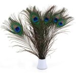 Aafgvc - promotion, vritables plumes de paon social, 25 - 30 cm, superbe dcoration pour mariage, nol, ...
