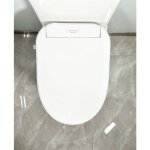 Toptoilet - abattant japonais blue thya zen