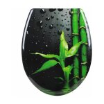 Abattant de toilette en duroplast avec charni�re, couvercle de wc, fixation rapide, antibact�rienne, ...