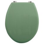 Abattant wc mdf cleo vert basil mat - charni�res en inox msv