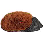 Ac - deco - brosse chaussures - h�risson - l 14, 3 x l 26, 5 x h 10, 8 cm - marron - livraison gratuite ...