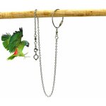 Accessoires pour cage oiseau perroquet anneau de pied en acier inoxydable, chaîne d'anneau de pied de ... Accessoires pour cage oiseau perroquet anneau de pied en acier inoxydable, chaîne d'anneau de pied de ...