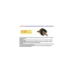 Adaptateur butsir pour bouteille de camping repu0038