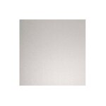 Film adh�sif occultant gris 67. 5 cm x 200 cm ? pour vitrage ? protection visuelle ? application facile ...