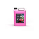 Lave glace concentr�, �t� et hiver, 20deg, 5l aexalt lg143