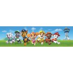 Ag art - frise auto - adhsive pat'patrouille - modle en avant - 5 m x 10 cm