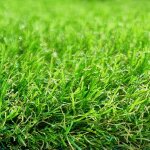 Agco - gazon synthetique 35mm - 2mx24m soit 48m2 - mgs