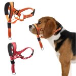 Ahlsen - collier de tte pour chien, licou sans traction avec rembourrage doux, outil d'entranement ...