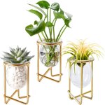 Air plants holders dcoration en mtal dor pour la maison lot de 3 mini terrariums gomtriques vase ...