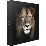 Ceanothe - album photo pochette lion 200 photos 10x15 cm, 100 pages, 200 photos 11, 5x15, dimensions ... Ceanothe - album photo pochette lion 200 photos 10x15 cm, 100 pages, 200 photos 11, 5x15, dimensions ...