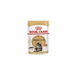 Alimentation hiro royal canin maine coon patu , bote 12 enveloppes x 85 gr