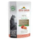 Almo nature hfc naturel sachet de 55 g - saumon et potiron