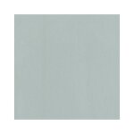 Alfer - aluminium tle lisse aluminium anodis 500x250mm effet inox - 38204