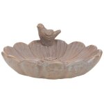Bain oiseau dor grand modle - amadeus
