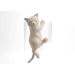 Amadeus - chat suspendu cr�me