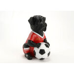 Chien footballeur - amadeus