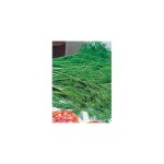 Aneth - graines de l�gumes - 2 g