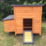Animal valley - poulailler sussex xl 6 � 10 poules bois fsc toit shingle ouvrant