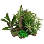 Animallparadise - racine et plantes, 36 x 31 x 33 cm, dcoration aquarium.